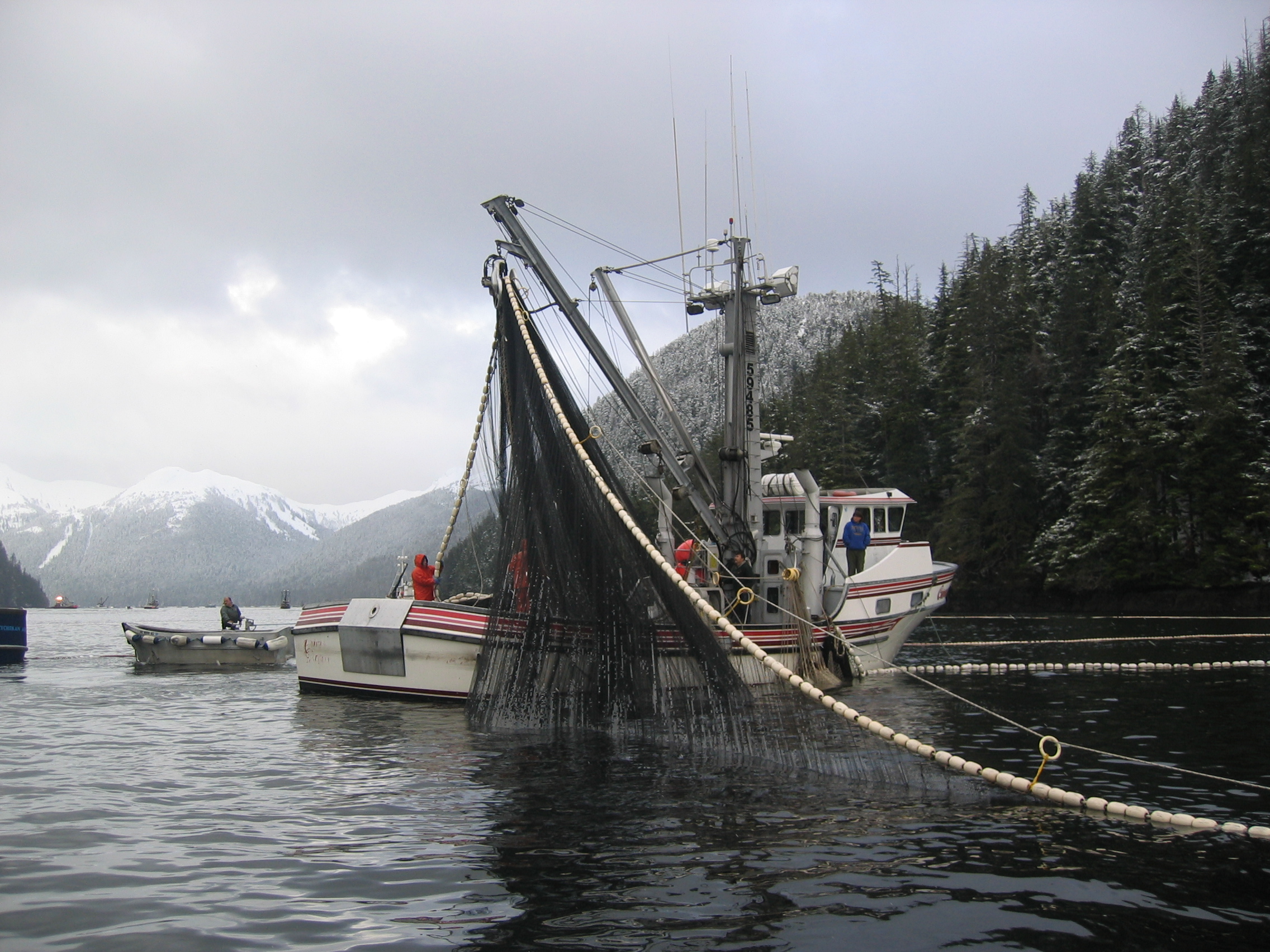 Pursing the Seine in the Sitka Herring Fishery